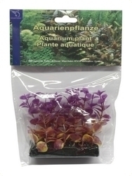 smf-aquaristik, Kunststoffpflanze "Alternanthera reineckii" ca. 10 cm 