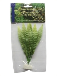 smf-aquaristik, Seidenpflanze "Hydrocotyle sp." ca. 10 cm