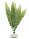 smf-aquaristik, Seidenpflanze "Hydrocotyle sp." ca. 10 cm