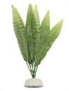 smf-aquaristik, Seidenpflanze "Hydrocotyle sp." ca. 10 cm