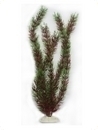 smf-aquaristik, Kunststoffpflanze "Egeria sp." ca. 50 cm