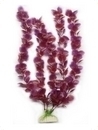 smf-aquaristik, Kunststoffpflanze "Bacopa sp. colorata" ca. 40 cm