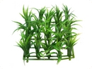 smf-aquaristik, Kunststoffpflanze "Echinodorus tenellus" ca. 13x13 cm