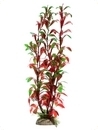 smf-aquaristik, Kunststoffpflanze "Ludwigia glandulosa" ca. 30 cm