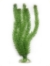 smf-aquaristik, Kunststoffpflanze "Egeria densa" ca. 40 cm 
