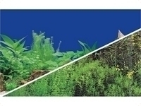 Fotor�ckwand zweiseitig, Pflanzenmotiv 30cm x 15m