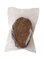 Seemandelbaumblätter 14-16cm, 40g Packung