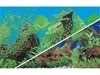 Fotor�ckwand zweiseitig, Pflanzenmotiv 40cm x 15 m