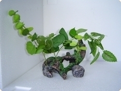 smf-aquaristik, Dekofels mit Seidenpflanzen M 13,5x11x13,5cm