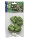 smf-aquaristik, Seidenpflanze "Hydrocotyle leucocephala sp." ca. 10 cm 