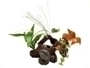 smf-aquaristik, Dekofels mit Seidenpflanzen 22x16x14cm